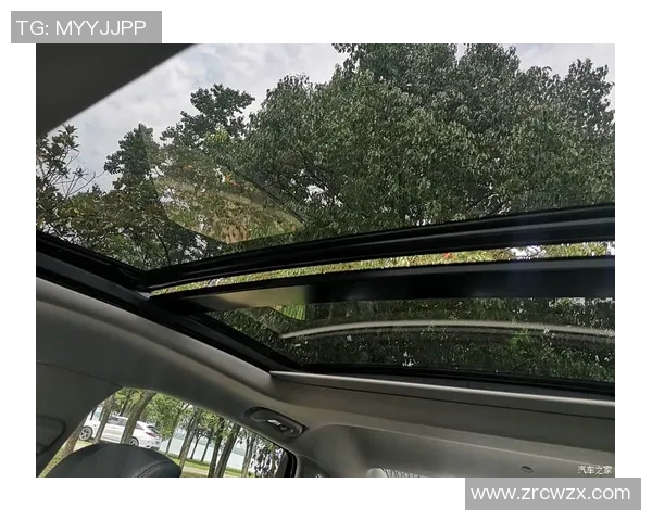 深圳与武汉极限运动队赛后技术对比分析与复盘总结